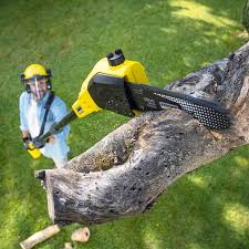 Best Weed Control  in Norton, VA