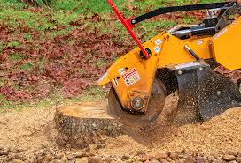 Best Lawn Disease Treatment  in Norton, VA