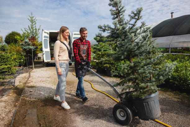Best Lawn Fertilization  in Norton, VA